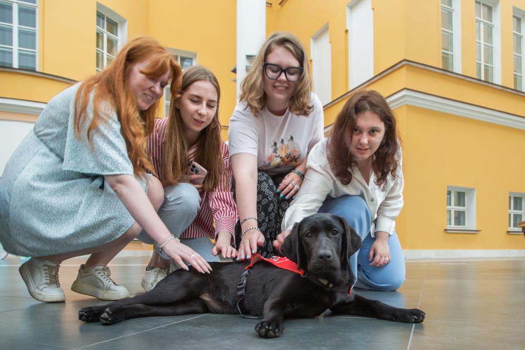 Будущая собака-проводник щенок лабрадора Фея знакомится со студентами Вышки